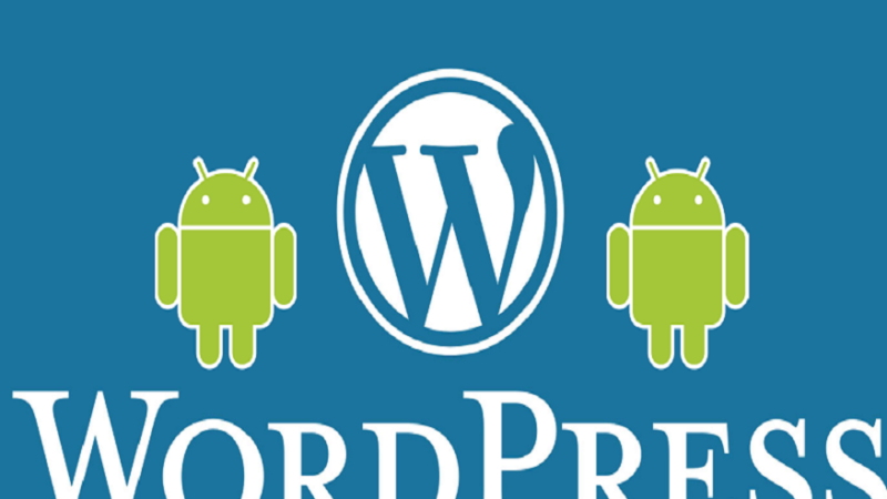 WordPress API